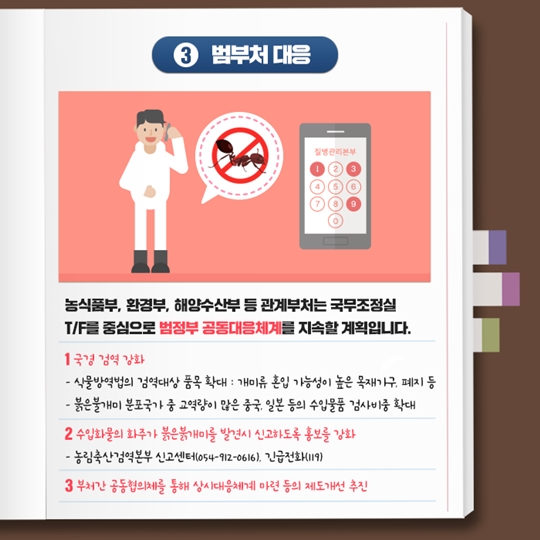 붉은불개미