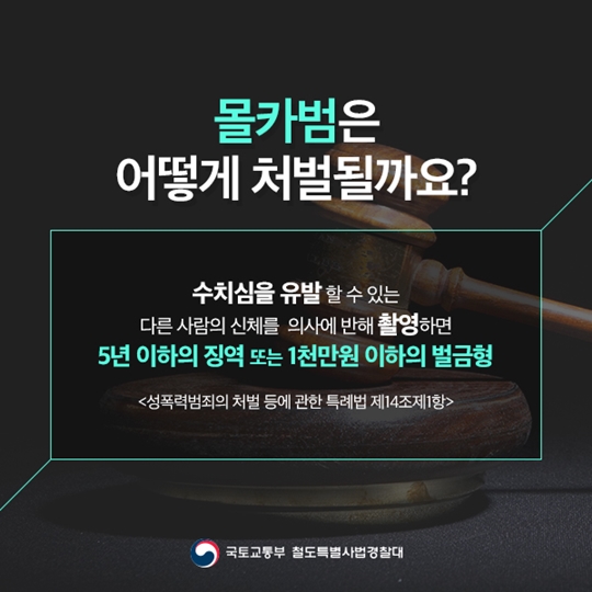 철도 몰카범 꼼짝마