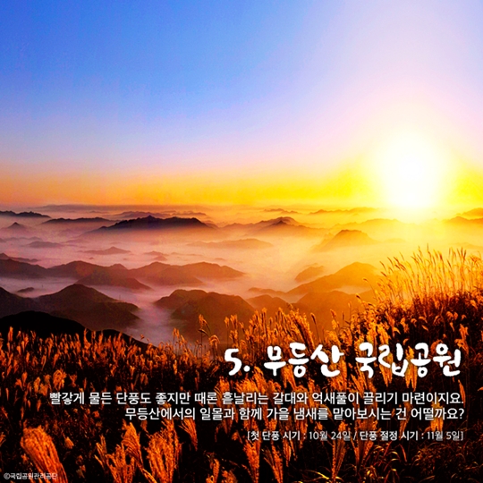 국립공원 어디까지 가봤니