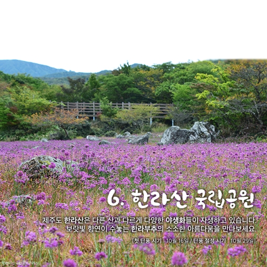 국립공원 어디까지 가봤니