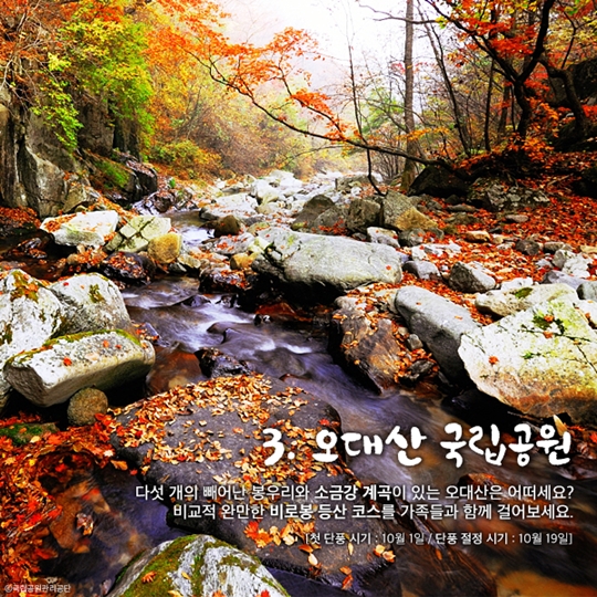국립공원 어디까지 가봤니
