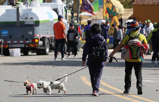 22일 오전 서울 마포구 월드컵공원에서 시민들이 반려견에 목줄을 채운 채 산책하고 있다.(사진=저작권자(c) 연합뉴스, 무단 전재-재배포 금지)