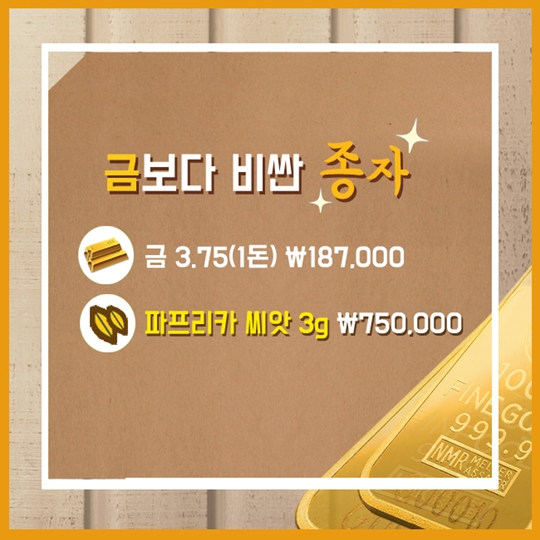 종자를 지배하는 자, 세계를 움직인다!