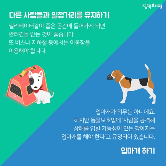 펫티켓