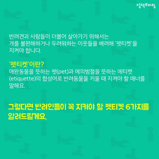 펫티켓