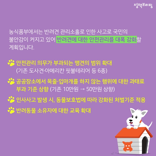 펫티켓