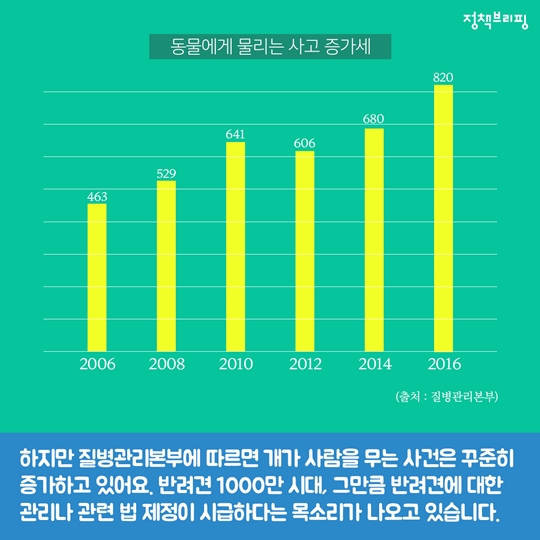 펫티켓