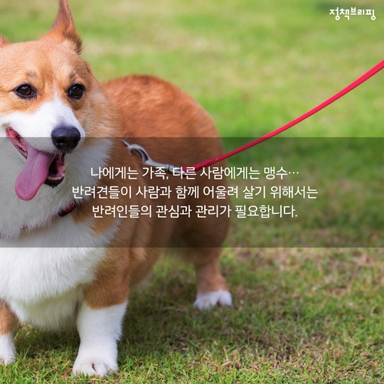펫티켓