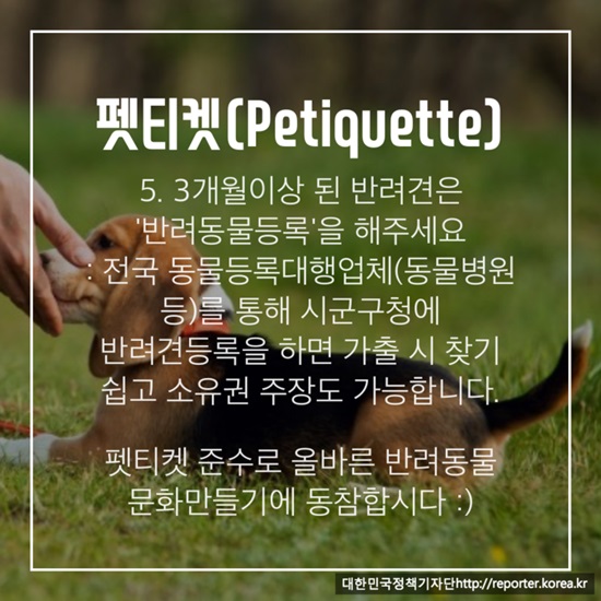 펫티켓 카드뉴스는 서대문구청의 ‘반려동물 문화만들기 에티켓’에서 발췌해 제작했습니다.