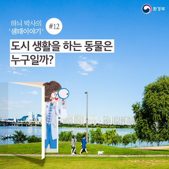 도시 생활하고 있는 동물은