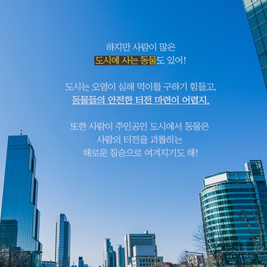 도시 생활하고 있는 동물은