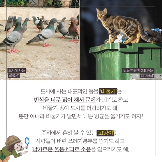 도시 생활하고 있는 동물은