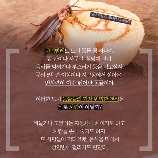 도시 생활하고 있는 동물은