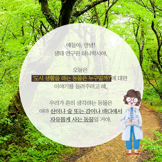 도시 생활하고 있는 동물은