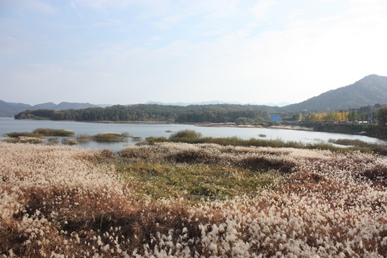 - ‘대청호 오백리길 4구간-호반낭만길은’ 대전시 동구 마산동삼거리에서 시작해, 추동습지, 대청호자연생태관, 연꽃마을, 금성마을삼거리로 구성되며, 총 10㎞ 거리, 4시간이 소요되는 트래킹 코스다.  