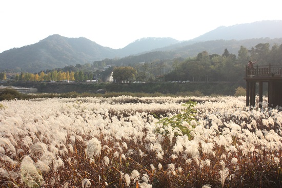 따스한 햇살과 청량한 가을바람, 잔잔한 호수를 바라보니, 빠르게 흘러가는 일상의 시계추 속 우리가 놓치고 있는 것들의 소중함을 깨닫게 해준다.