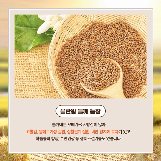 수능대비 음식 완전정복