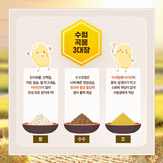 수능대비 음식 완전정복