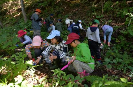 샤롬이 실시하는 후쿠시마 아이들을 위한 휴양 프로그램. 요시노 씨는 후쿠시마 시에서 이렇게 극정 없이 자연 체험을 할 수 없다고 한탄한다.