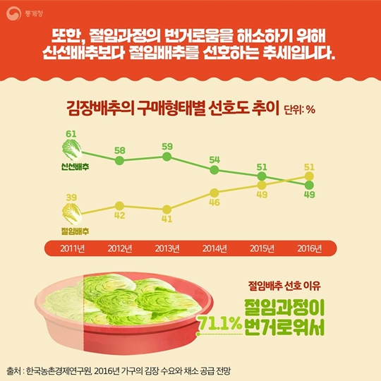 김장할 때 신선배추 vs 절임배추