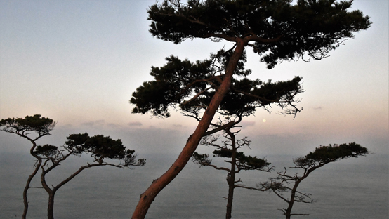 바다로 지는 달과 바다에서 뜨는 해를 한꺼번에 볼 수 있다.