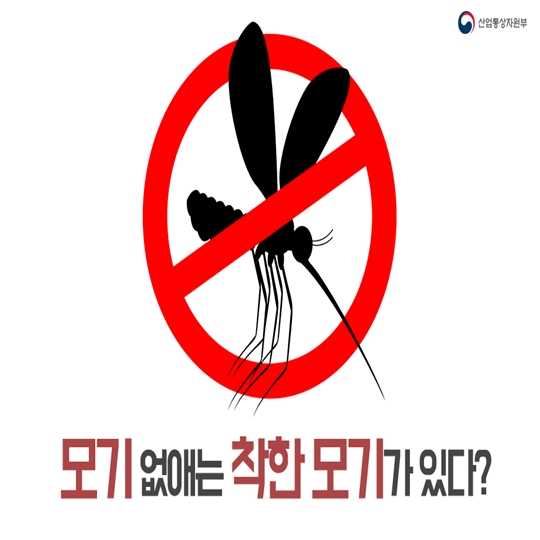 mosquito