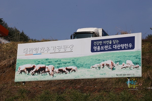 대관령 한우 가공공장 표지판.