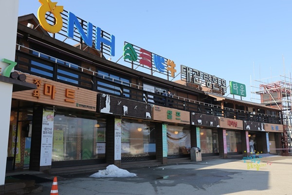 대관령 한우타운.