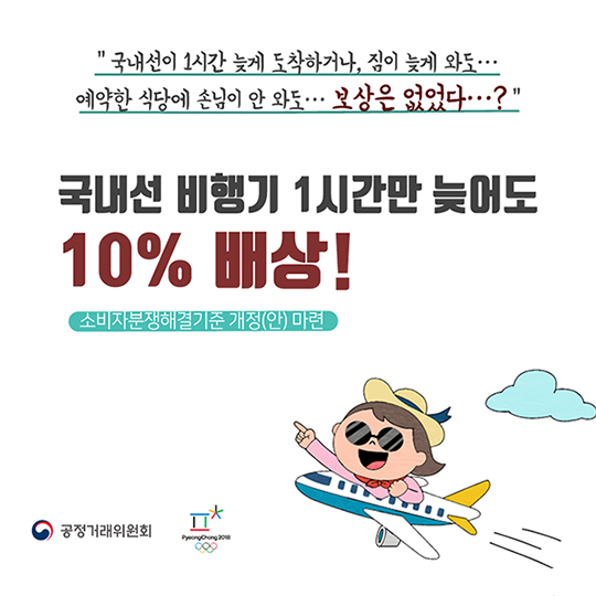 국내선 비행기 1시간만 늦어도 10% 배상!