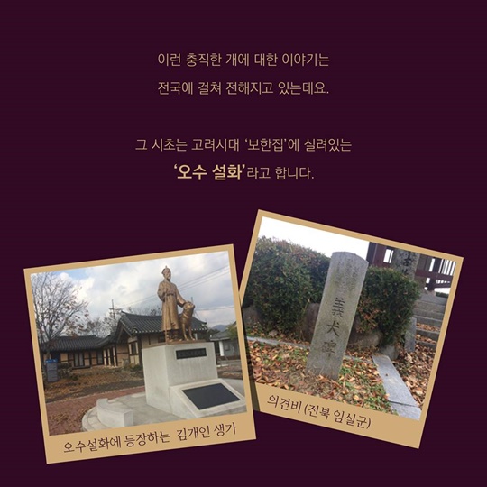 ‘황금 개의 해’ …개를 닮은 이곳은 어디?