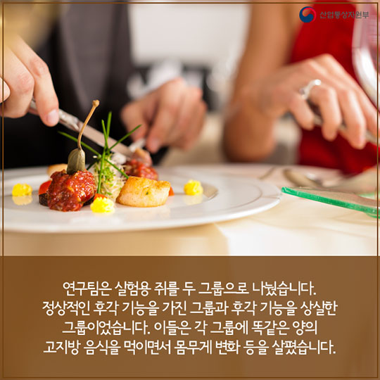 음식 냄새만 맡아도 살이 찐다?