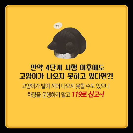시동 걸기 전 ‘똑똑똑’ 잠자고 있는 고양이를 깨워주세요!