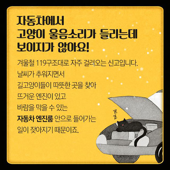 시동 걸기 전 ‘똑똑똑’ 잠자고 있는 고양이를 깨워주세요!