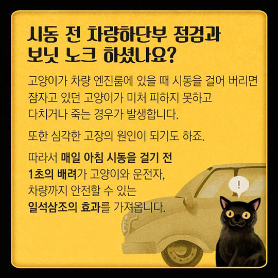 시동 걸기 전 ‘똑똑똑’ 잠자고 있는 고양이를 깨워주세요!