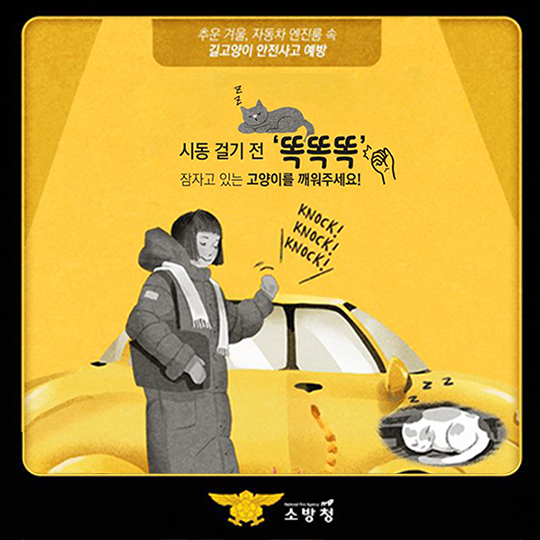 시동 걸기 전 ‘똑똑똑’ 잠자고 있는 고양이를 깨워주세요!