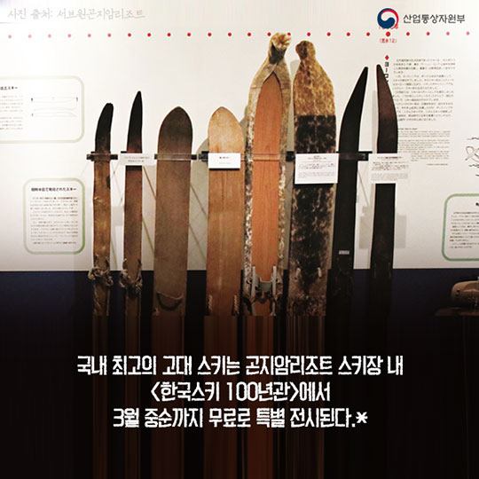 106년만의 귀향! 고대 한반도 스키