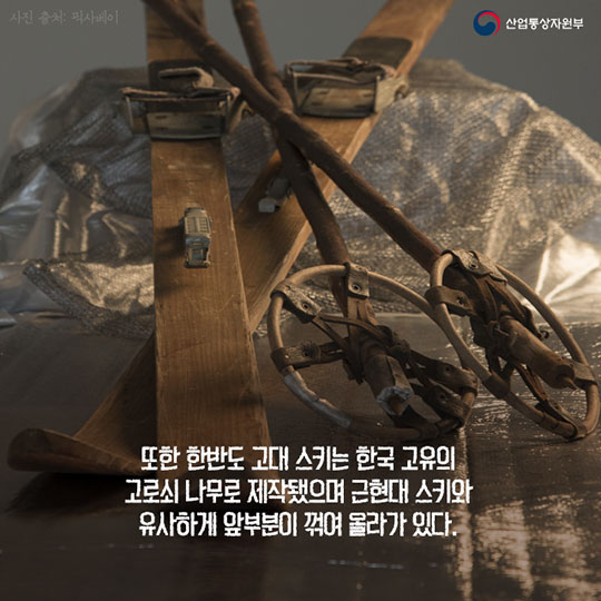 106년만의 귀향! 고대 한반도 스키