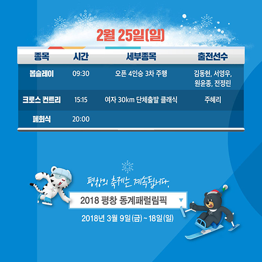 어머! 이건 꼭 봐야 돼…평창 동계올림픽 경기일정