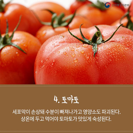 냉장고에 넣으면 안 되는 음식 5가지
