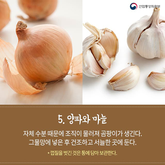 냉장고에 넣으면 안 되는 음식 5가지