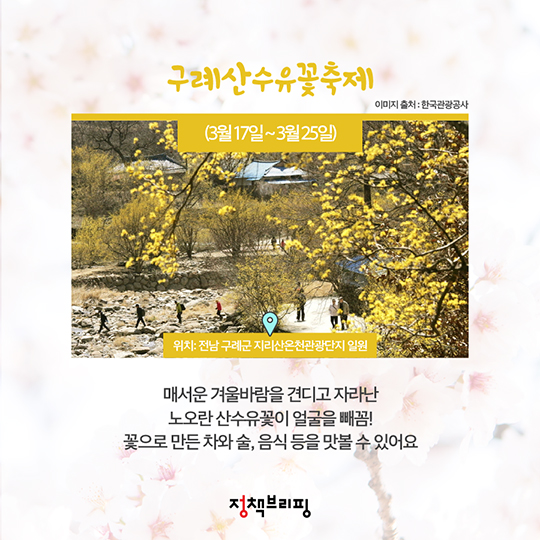꽃 피는 봄이 왔나봄!···전국 봄꽃 축제 총정리 사진 6