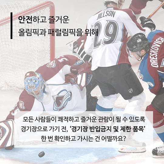 평창 패럴림픽 보러 간다면?…반입금지 물품 15가지
