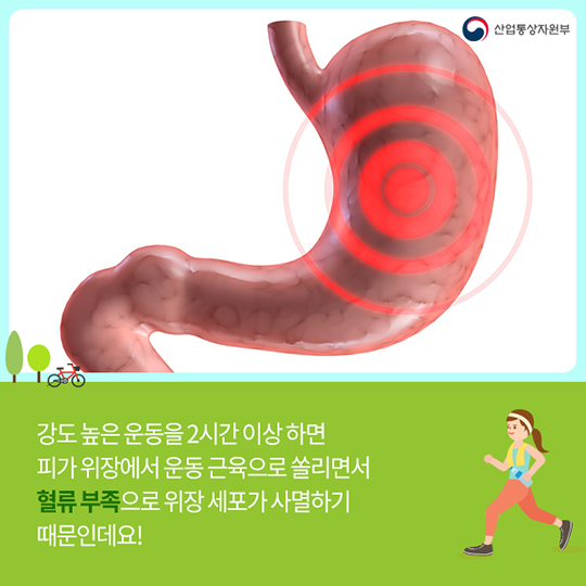 운동을 과하게 하면 위장을 아프게 한다?