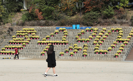 지난해 우리나라 합계출산율은 1.05명을 기록했다. 외자녀 시대 즉, 터울이 귀한 세상 다각도의 문화적 대비가 필요할 때다. 사진은 지난해 수능을 앞둔 서울 마포구 서울여고 교정.  국화꽃 화분으로 만든 수험생 응원메시지가 눈길을 끌고 있다. <저작권자(c) 연합뉴스, 무단 전재-재배포 금지> 