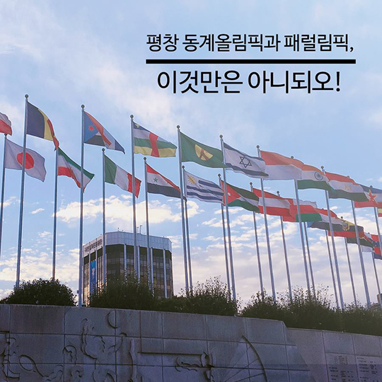 평창 패럴림픽 보러 간다면?…반입금지 물품 15가지