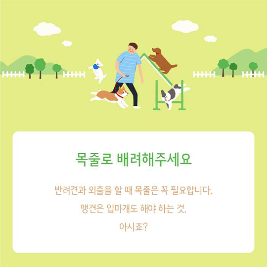 노란 리본 맨 반려견을 만났다면?