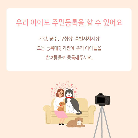 노란 리본 맨 반려견을 만났다면?