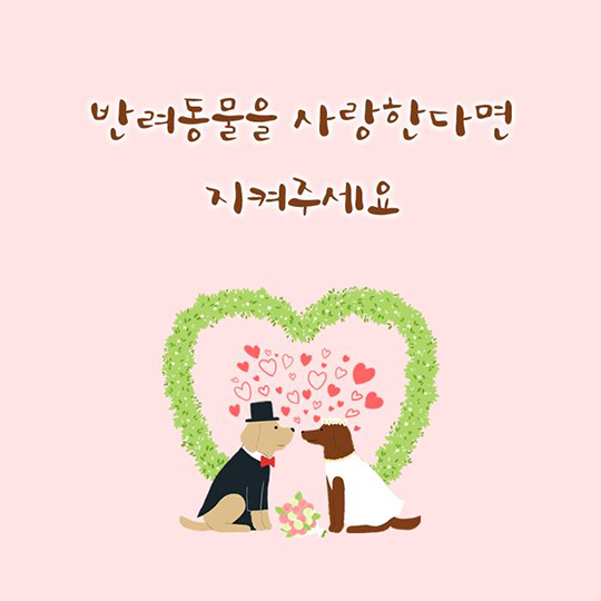노란 리본 맨 반려견을 만났다면?