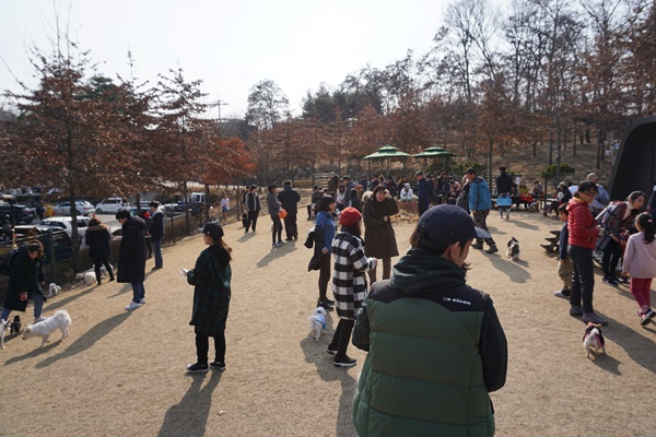많은 시민들이 이용 중인 반려견 놀이터