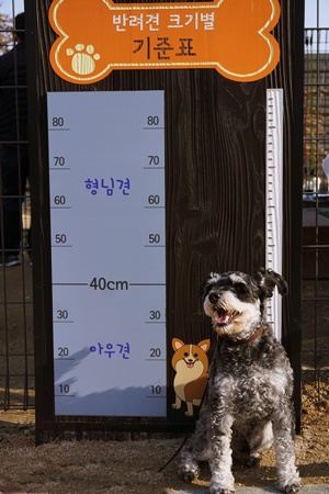 입정 전 키 측정